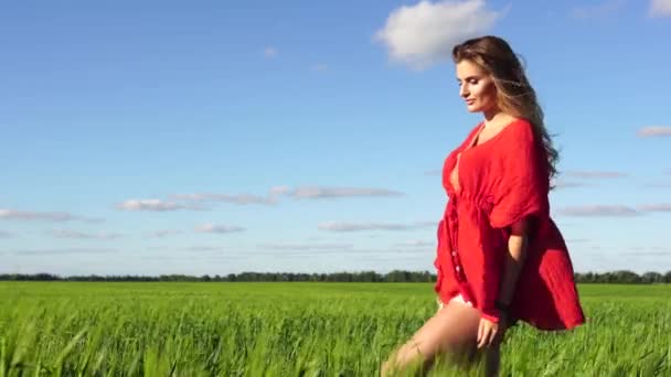 Mujer feliz disfrutando de la naturaleza hermosa rubia posando en el campo. Concepto feliz . — Vídeo de stock