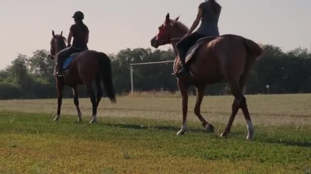 Dos deportistas montan a caballo en un campo — Vídeo de stock