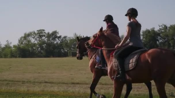 Lovas sport edzés a nyári napon, két lovas nő lovagol — Stock videók