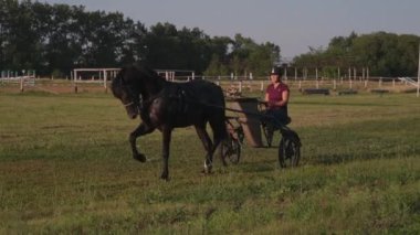 Kırsal pistte hafif arabalı bir kadın ata biniyor.