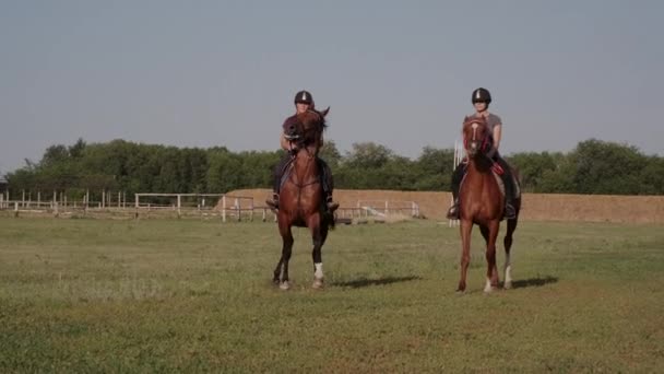 La gente está montando caballos en la granja y centro de equitación de entrenamiento — Vídeos de Stock
