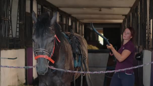 Femme jockey attachant boudeuse au cheval — Video