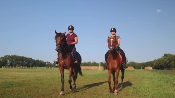 Dos hembras están montando caballos a lo largo del hipódromo — Vídeos de Stock