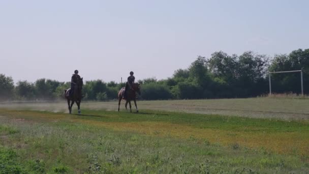 Dos mujeres montan a caballo trotando en un campo. — Vídeo de stock