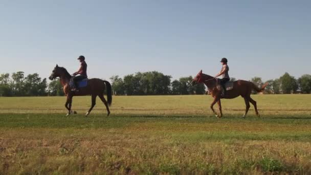 Δύο έφιππες καβαλάνε άλογα σ 'ένα λιβάδι. — Αρχείο Βίντεο