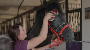 At fırçalamayı sever.