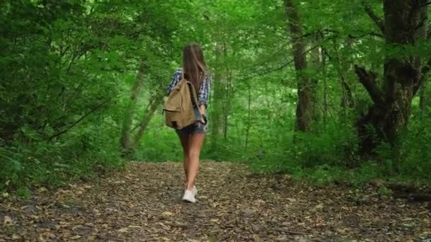 Jeune femme est en randonnée dans la forêt — Video
