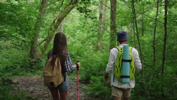 Joven macho y hembra hacen senderismo en madera densa — Vídeos de Stock