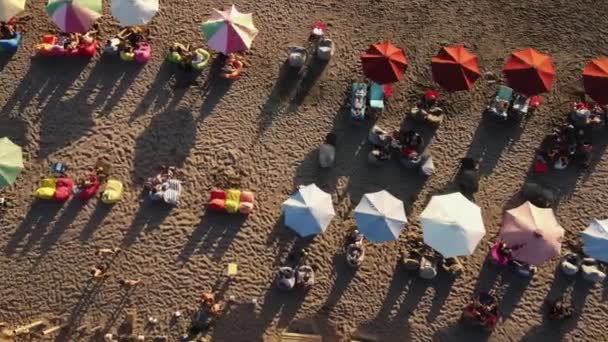 Flygfoto av människor som kopplar av på stranden — Stockvideo