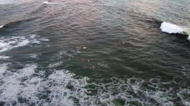 Sörfçüler okyanusta sörf tahtalarında dinleniyorlar.