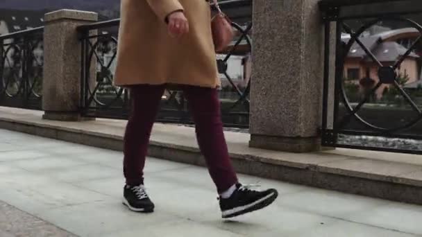 Nő sétál a bekerített sétányon — Stock videók