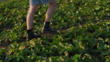 Dişi turist yaz mevsiminde dağın yamacında yürüyor, bacaklarına yakın.