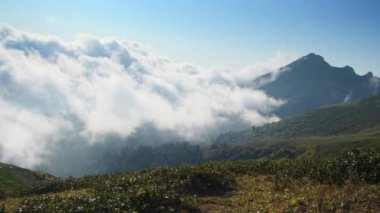 Güneşli yaz gününde güzel dağlık arazi, tepeden manzara