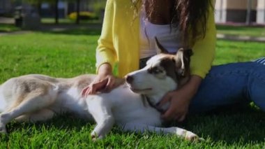 İnsan ve köpeğin dostluğu, yazın parkta köpeğine sarılıyor.
