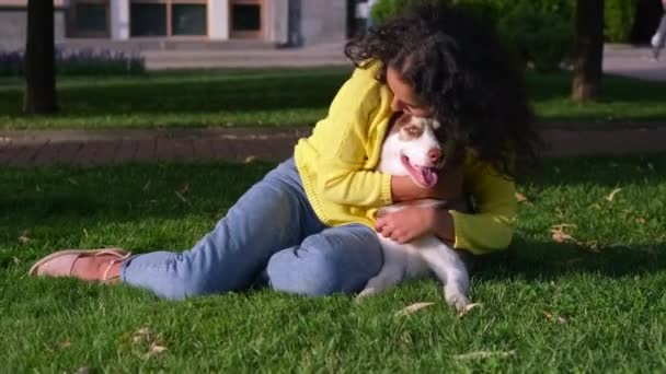 和宠物在户外休闲。在公园里带着哈士奇狗的女孩 — 图库视频影像