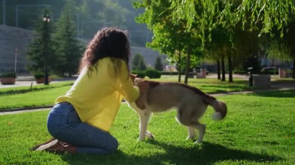 Mulher está treinando seu cão no parque na manhã de verão — Vídeo de Stock