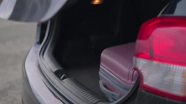 Мандрівник бере валізу з багажника автомобіля — стокове відео