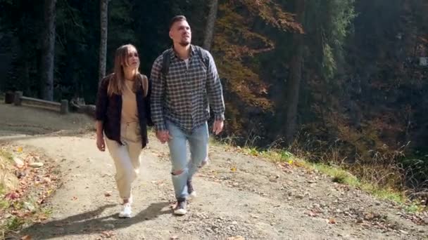 Paseo romántico en el bosque en el soleado día de otoño, el hombre y la mujer están paseando juntos en el parque natural — Vídeos de Stock