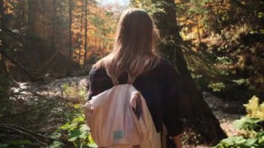 Gezgin kadın, güneşli bir sonbahar gününde, dikiz manzaralı muhteşem bir ormanı keşfediyor.