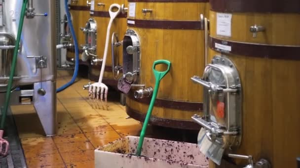 Barris para fermentação de vinho na adega — Vídeo de Stock