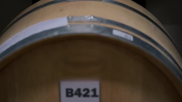 Dřevěný sud vína s bungem — Stock video