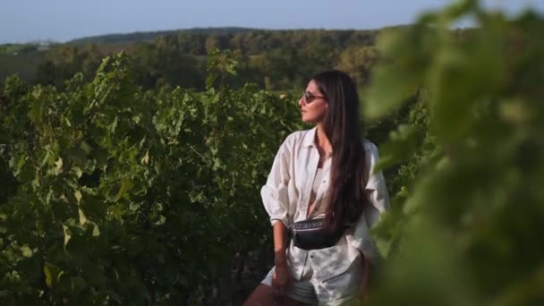 Visitando plantación de uva por mujer turista, viajando y excursión — Vídeos de Stock
