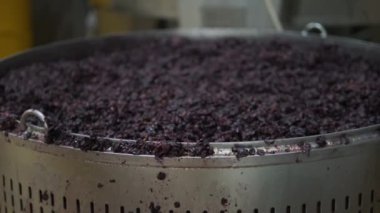 Sanayi fabrikasında şarap yapımı, kırmızı üzümlü mezga