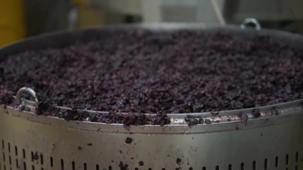 Vinificazione in impianto industriale, mezga di uva rossa — Video Stock