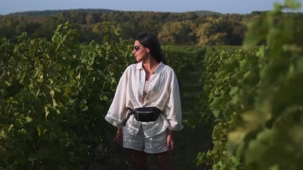 Turista femenina en plantación de uva al atardecer — Vídeos de Stock