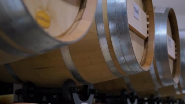 Wine aging in wooden barrels at winery cellar — Stock Video