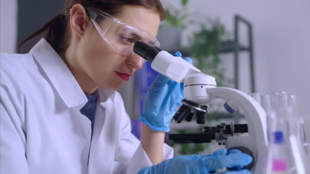 Biotechnologe forscht im Labor — Stockvideo