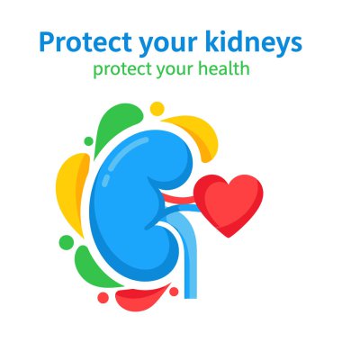 A blue kidney with a red heart and colorful splashes on a white background.
