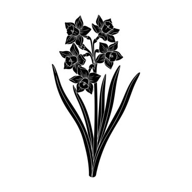 Beyaz arka planda yaprakları olan nergislerden oluşan siyah bir siluet.