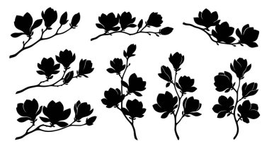 Yedi siyah manolya dalından oluşan bir koleksiyon, her biri eşsiz bir çiçek ve tomurcuk dizilimi sergiliyor. Siluetler, dalların zarif kıvrımlarını ve manolyanın farklı şekillerini vurgulayan temiz bir şekilde ayarlanmış.