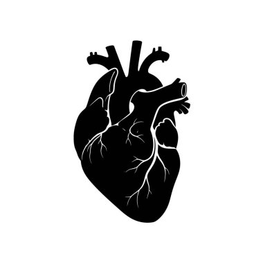İnsan kalbinin katıksız siyah silueti, a 'ya karşı tasvir edilir. Kalbin yapısındaki karmaşık detaylar görülebilir, organa uzanan ana arterler ve damarlar da dahil. Bu grafik gösterimi form ve iletişim üzerine odaklanır