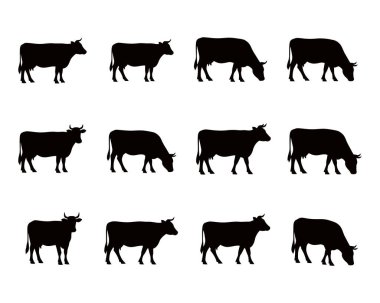 16 adet siyah inek silueti, A 'ya karşı sergileniyor. İnekler çeşitli pozlarda tasvir edilir, ayakta durmak, başları aşağıda otlamak ve bazıları göğüsten yukarıya doğru gösterilir. Koleksiyonda farklı açılar ve etkinlikler gösterilir