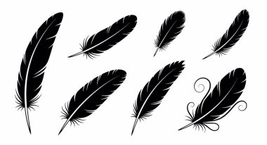 Yedi siyah tüy siluetinden oluşan bir koleksiyon. Tüyler boyut ve stil olarak farklılık gösterirken, bazıları basit görünür ve diğerleri de temelde dekoratif girdaplar içerir. Bu set, ele tasarımı için uygun çeşitli tüy şekillerini içerir.