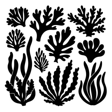 Çeşitli deniz yosunu ve mercan oluşumlarını temsil eden çeşitli siyah siluet koleksiyonu a 'ya karşı sunulmaktadır. Şekiller organik ve çeşitli, deniz bitkisinin farklı dokularını ve büyüme şekillerini gösteriyor. Bu düzenleme inclu