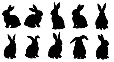 Çeşitli pozlarda on siyah tavşan silueti koleksiyonu. Kimisi oturuyor, kimisi ayakta, kimisi ileriye ya da yana bakıyor. Siluetler açıkça tavşanların ayırt edici uzun kulaklarını gösteriyor. Görüntüler izole edilmiş. .