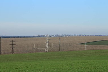 Yeşil çimenlerle ve büyük mavi gökyüzüyle güzel bir manzara.