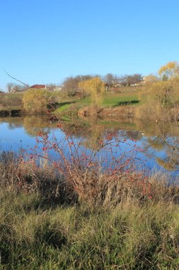Arka planda bir nehir olan sonbahar manzarası