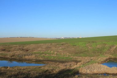 Yaz gününün kırsal kesimlerinde bir kır arazisi