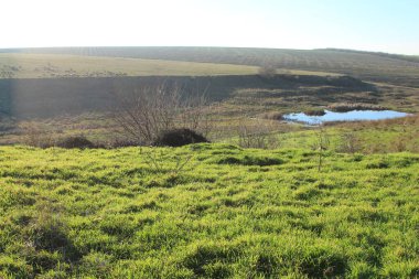 Nehir ve ağaçlarla dolu güzel bir manzara