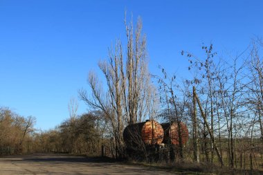 Ormandaki eski paslı fıçı. yüksek kaliteli fotoğraf
