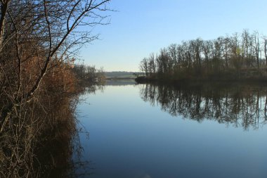 Sabah ormanda küçük bir nehir..