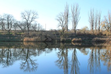 Kırsal kesimde ağaçlarla çevrili güzel bir nehir manzarası.