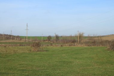 Ağaçlarla dolu bir tarlası ve bulutlu bir gökyüzü olan kırsal alan.