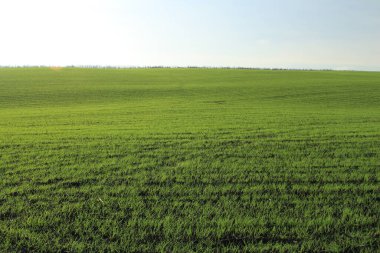 beautiful view of the nature scenery