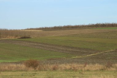 Bir kır arazisi manzarası