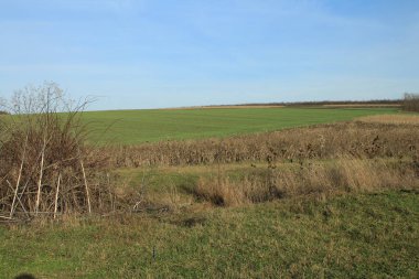 Kırsal alanın güzel manzarası